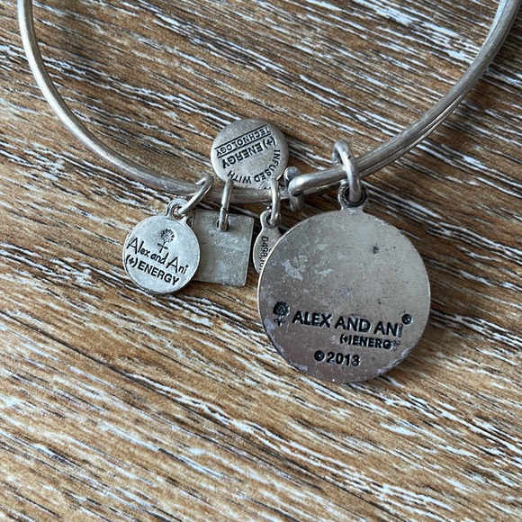 Alex and Ani Paw Print Charm Bracelet - Picture 3 of 7